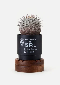 Nh X Lfe . Rotary Stand