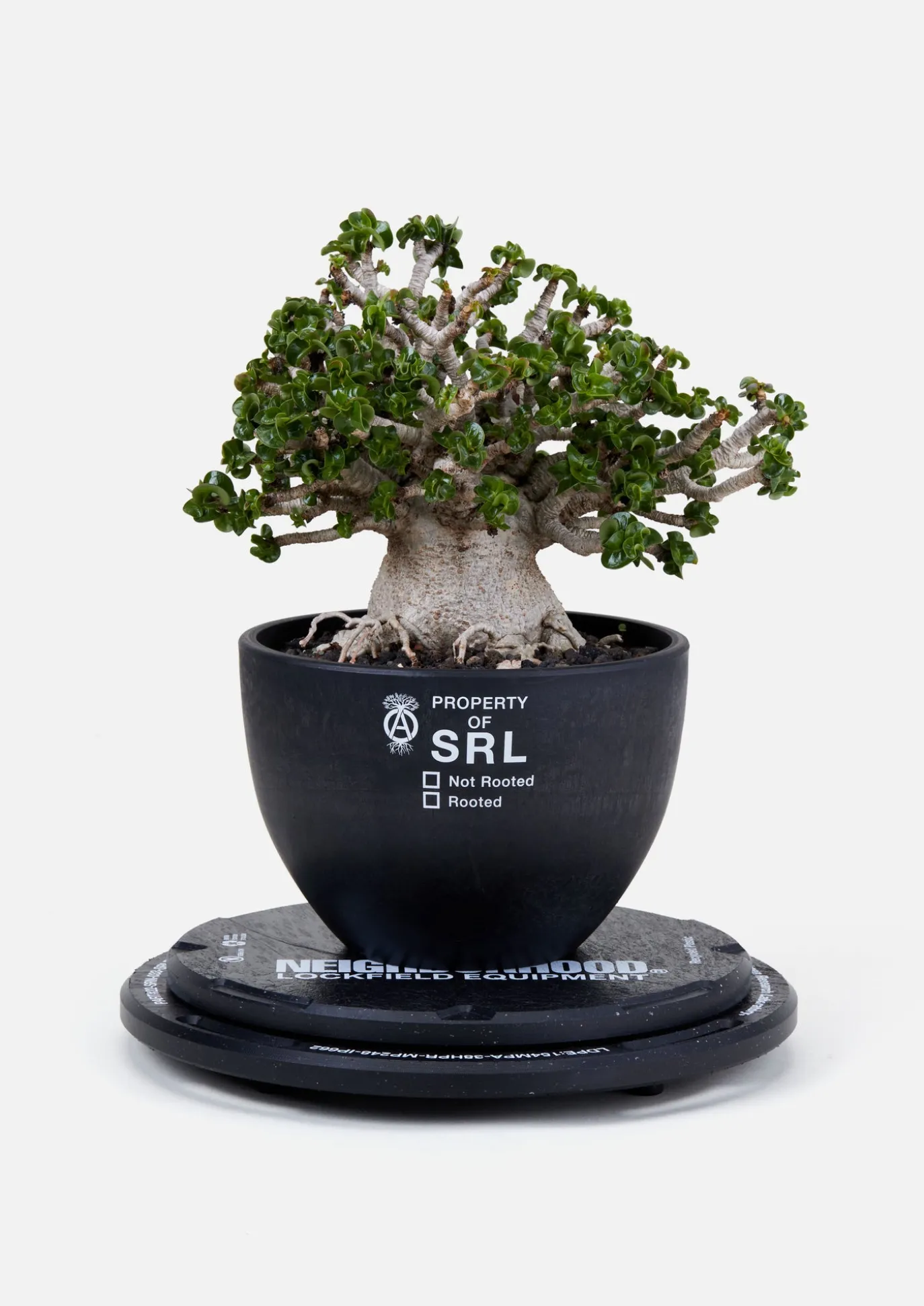 Nh X Lfe X Ballistics . Rotary Stand & Sbs Kit