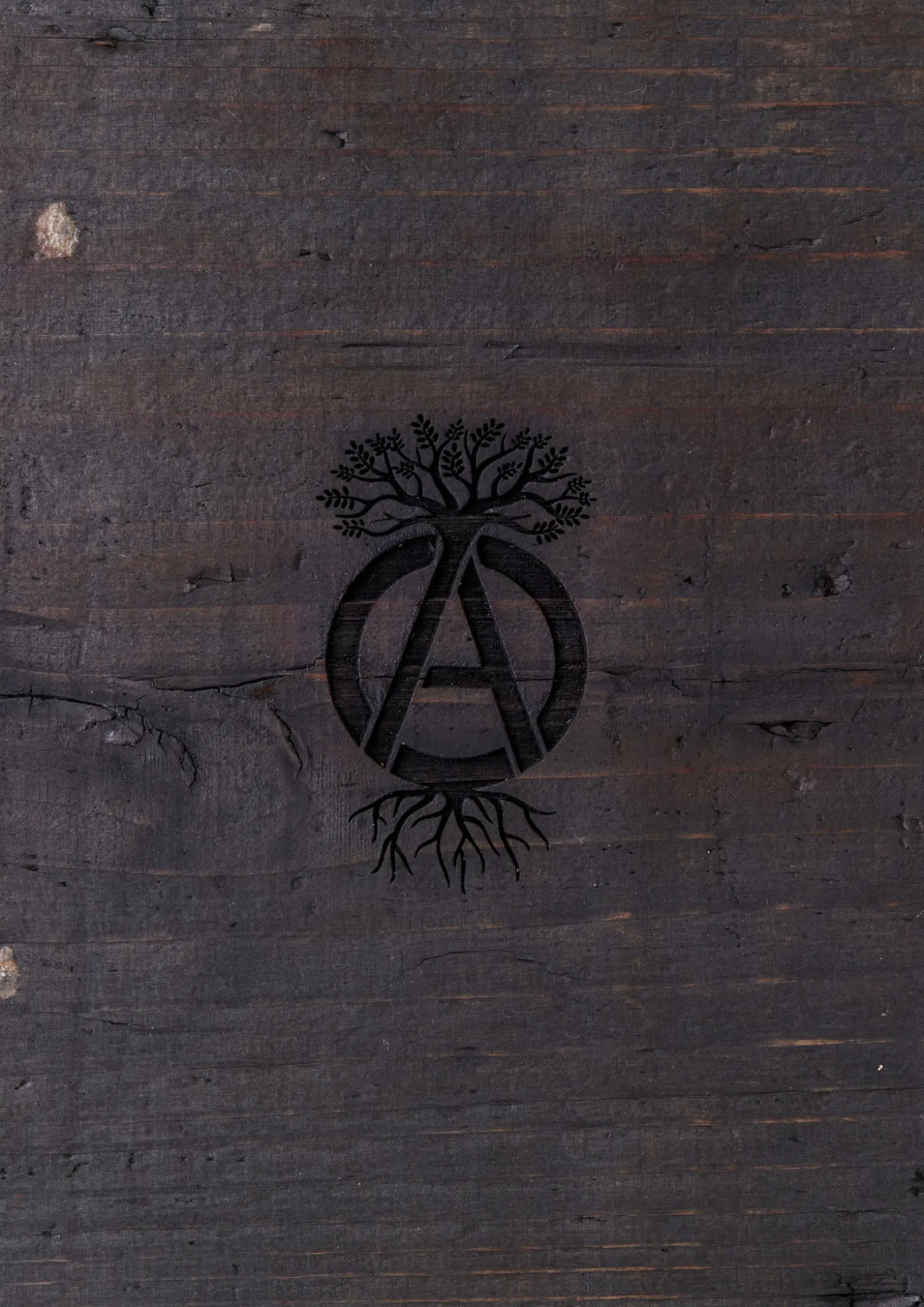 Srl X Warlock . Board-7