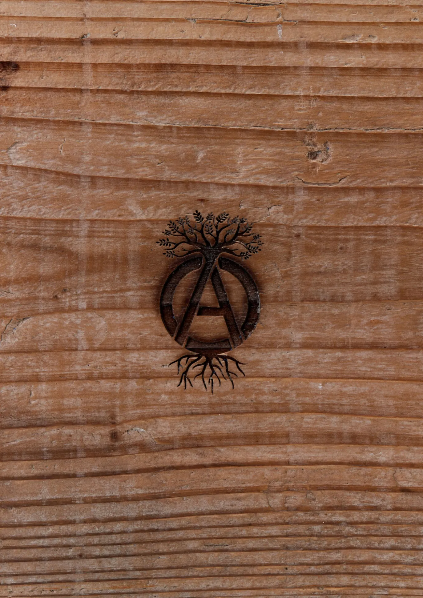 Srl X Warlock . Board-5